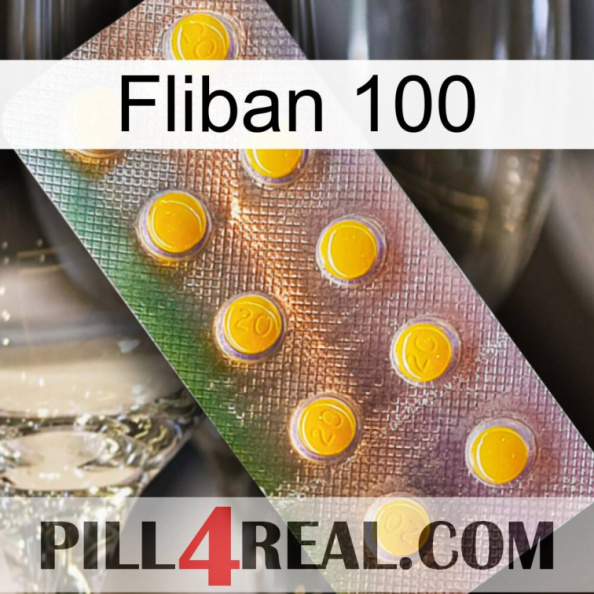 Fliban 100 new11.jpg